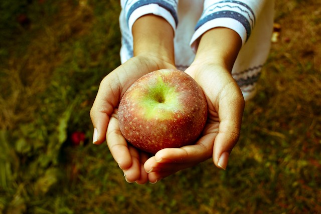 Hình ảnh Link Trực Tiếp Đá Gà Full HD BJ88.Com NHÚNG là gì? 1