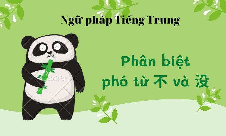 phân biệt phó từ BJ38 Trang Đăng Nhập 不 và 没