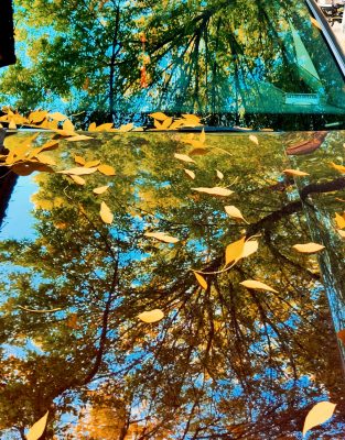 Một Bắc Kinh như thế, đã đủ để trở thành lí do bạn ghé thăm nơi đây chưa?