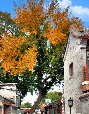 Bắc Kinh với những kiến trúc đậm chất Trung Quốc