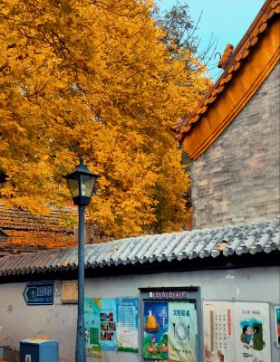 Cảnh tượng khiến người ta nôn nao, muốn được một lần tận mắt thấy khung cảnh đó