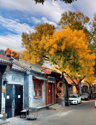 Những ngõ hẻm ngày xưa chúng ta được học trong sách thì giờ đây bạn sẽ thấy được ngõ hẽm tại Bắc Kinh có dáng vẻ như thế nào