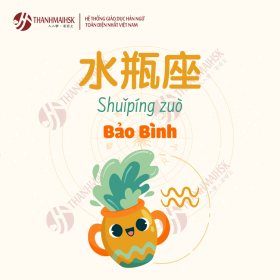 Bảo Bình (20/01 - 18/02)