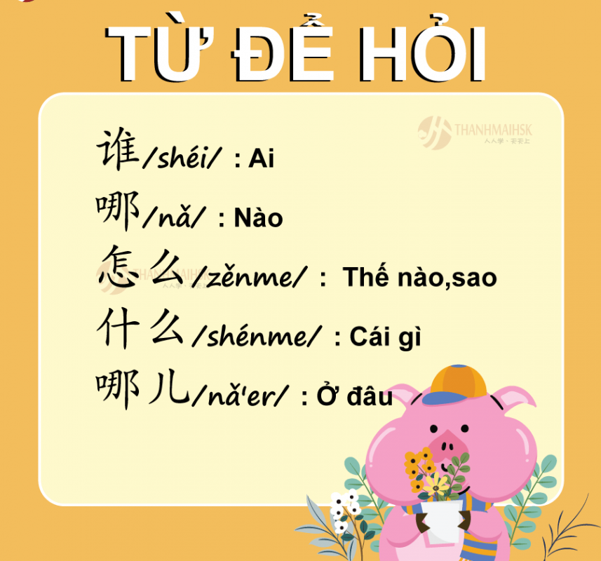 Đại từ nghi vấn trong BJ38 Trang Đăng Nhập