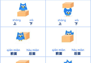 Cấu trúc vật gì ở đâu trong Bj88da gà