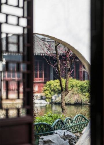 Có lẽ cho dù là Tết ở Trung Quốc hay Tết ở Việt Nam thì mọi người bây giờ đều cùng chung một ước mong "về quê đón Tết"