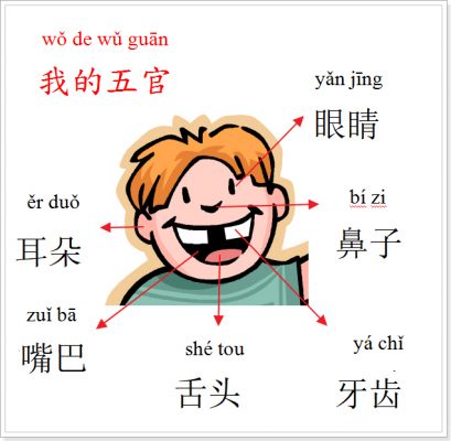 Các bộ phận trên khuôn mặt bằng BJ38 Trang Đăng Nhập