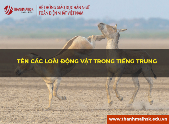 Tên các loại động vật trong BJ38 Trang Đăng Nhập