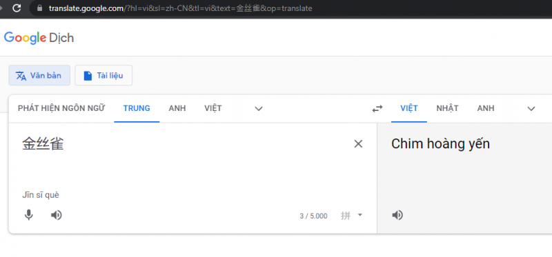 Google dịch
