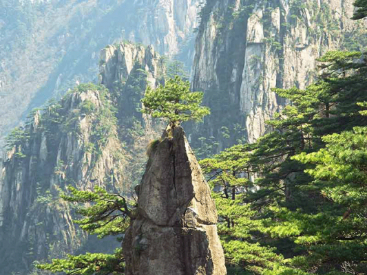 Núi Hoàng Sơn (Núi Vàng)