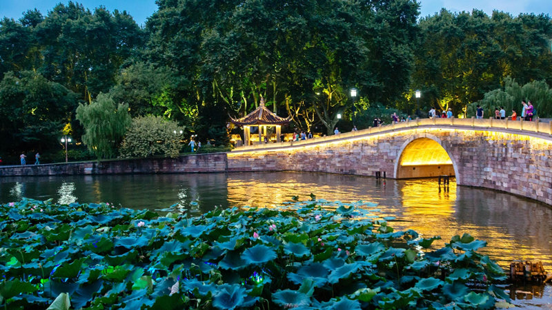 Bjj8 tải ứng dụng chọn khí hậu nào cho phù hợp?