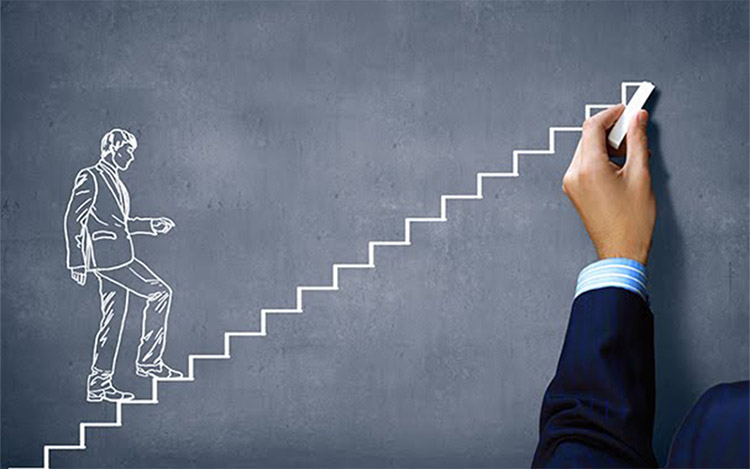 Lộ trình Bi88 đá gà Trung cho người mới bắt đầu