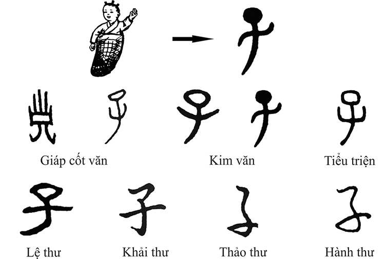 Nguồn gốc của Hán tự – Từ giáp cốt văn đến chữ Hán hiện đại