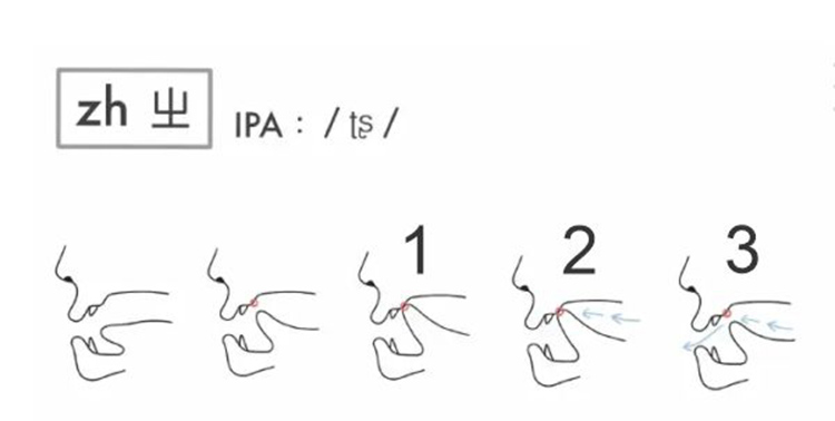 Nhóm âm đầu lưỡi sau - Âm uốn lưỡi (zh, ch, sh, r)